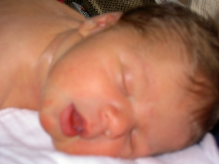 First pics of the new addition!